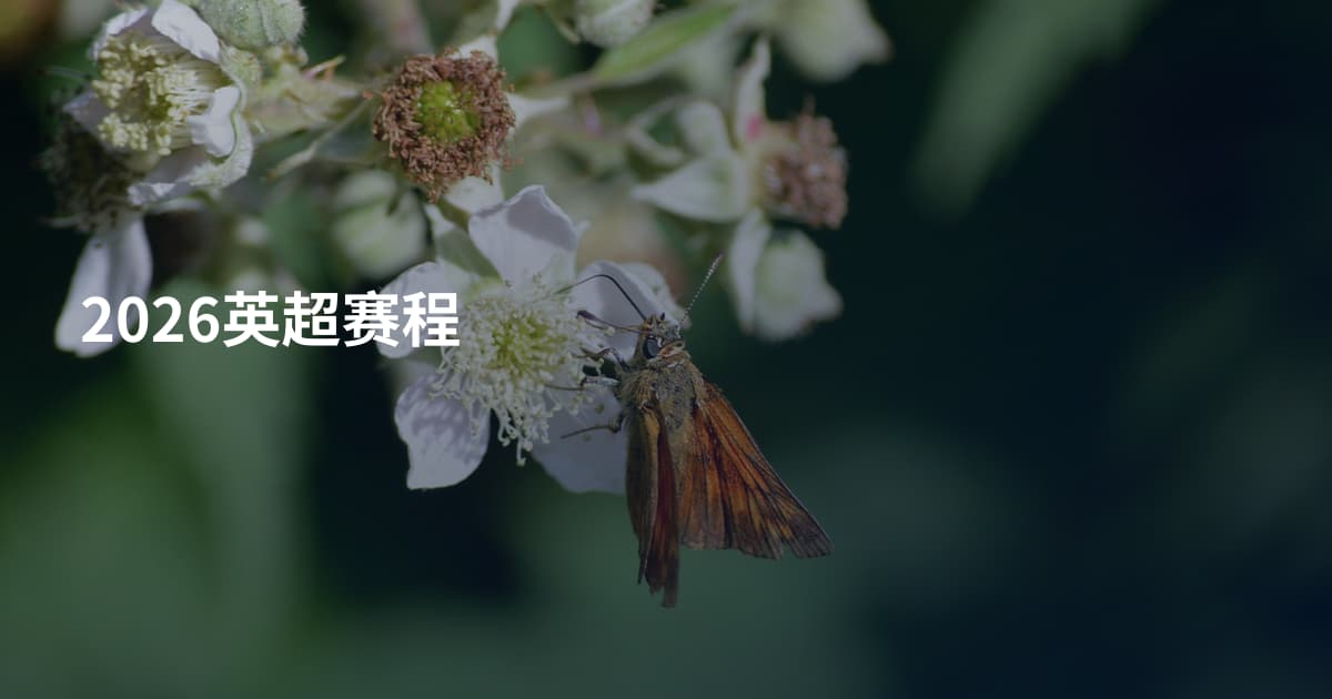 2026英超赛程