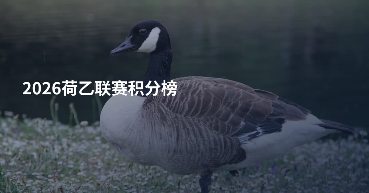 2026荷乙联赛积分榜