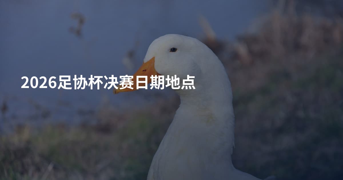 2026足协杯决赛日期地点