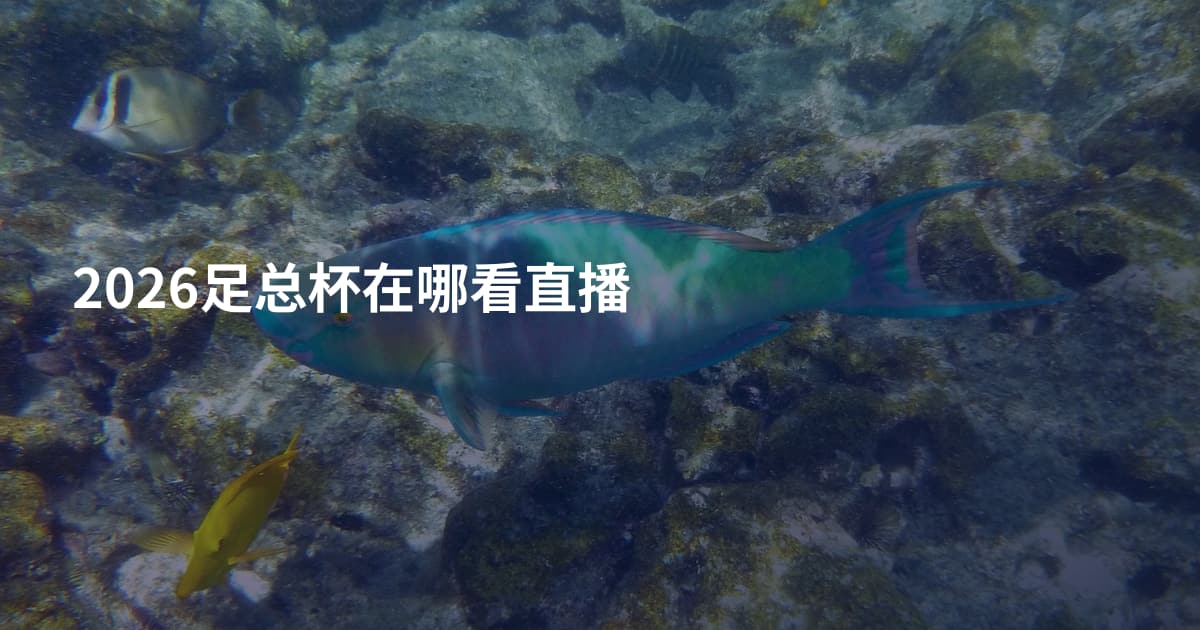 2026足总杯在哪看直播