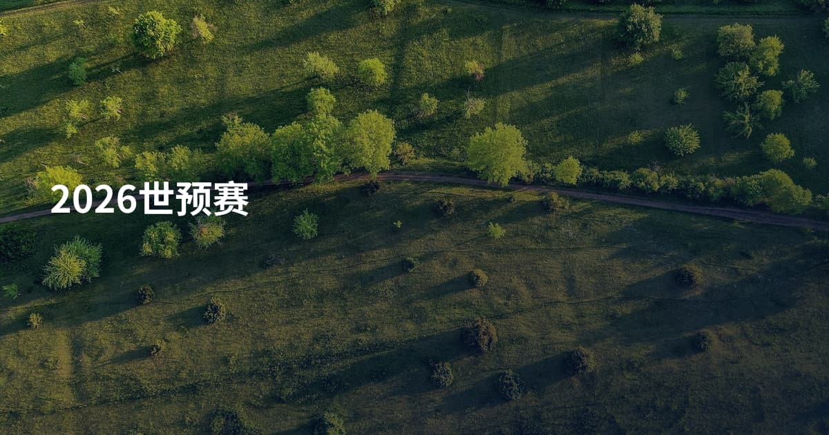 2026世预赛