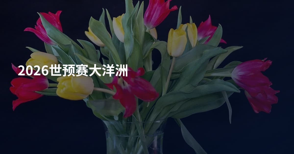 2026世预赛大洋洲