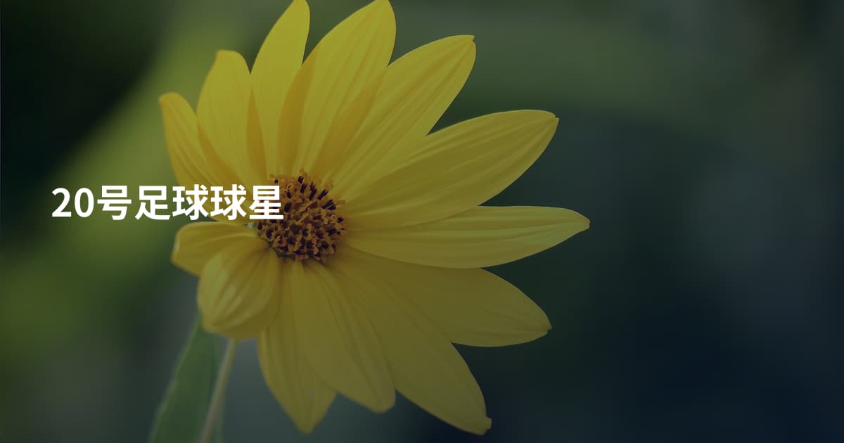 20号足球球星