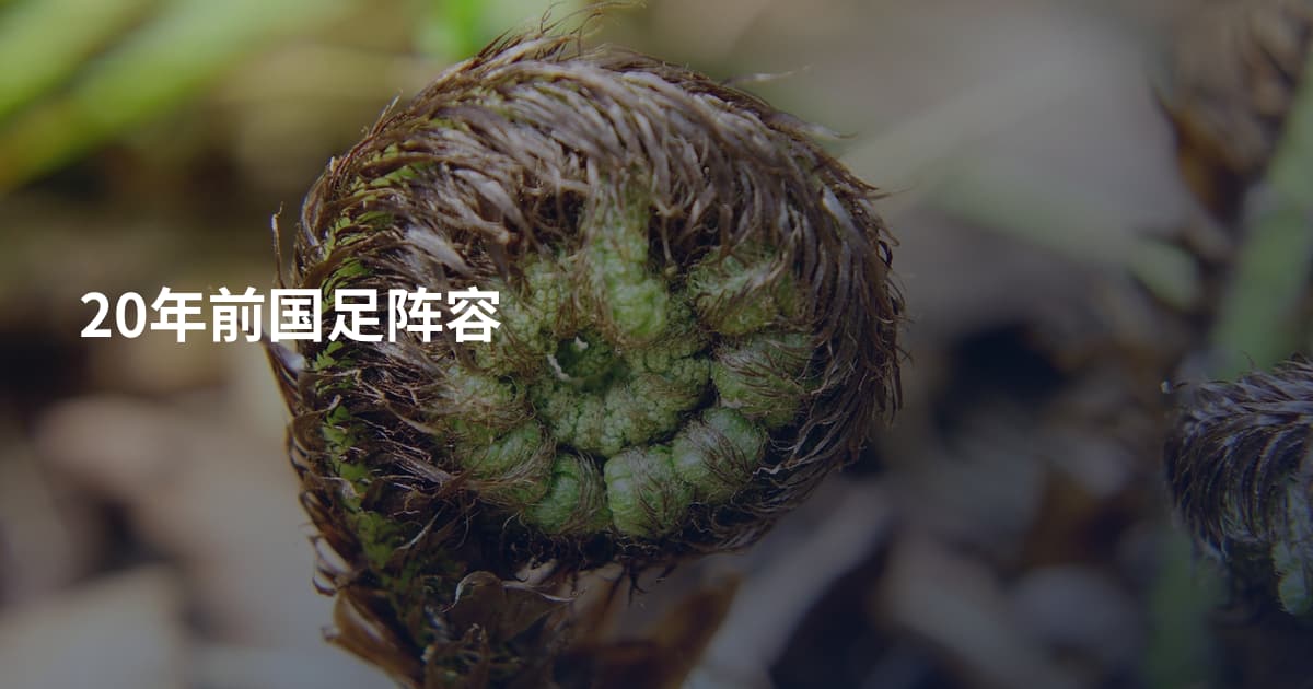 20年前国足阵容