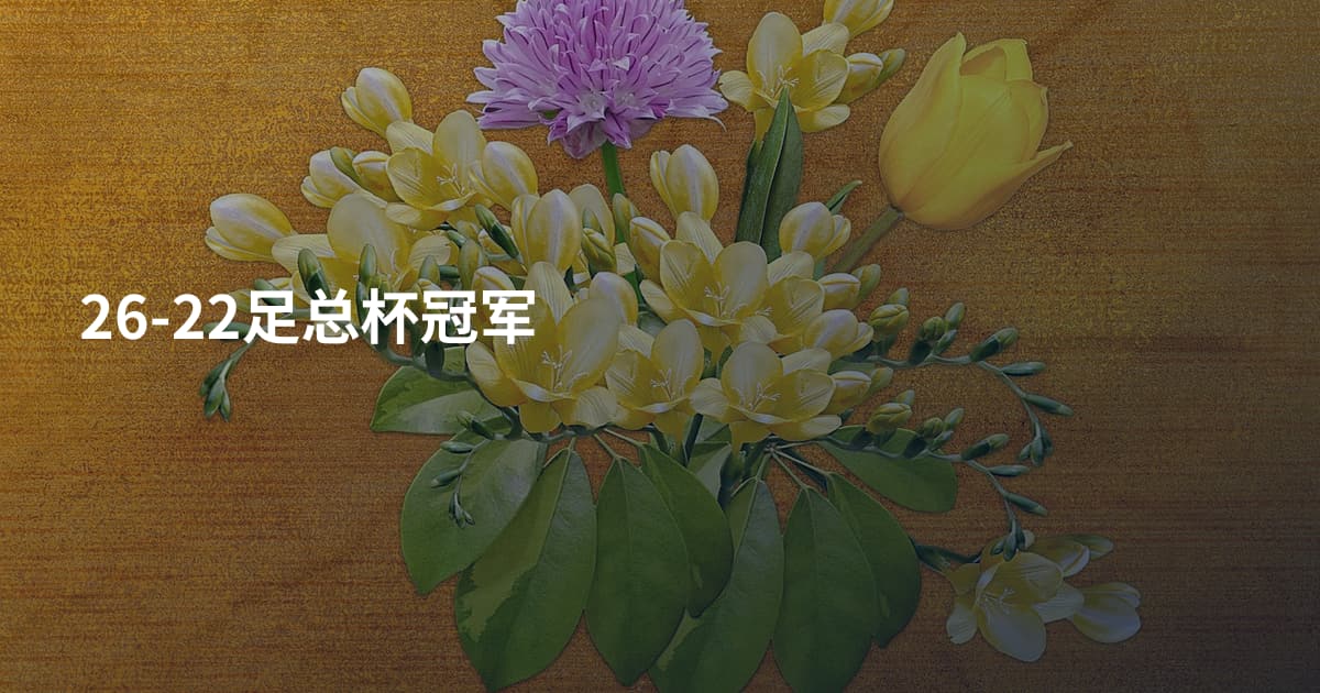 26-22足总杯冠军