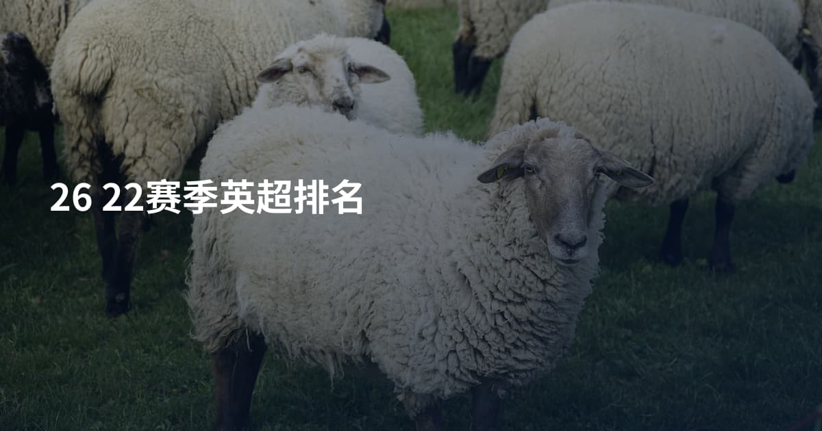 26 22赛季英超排名