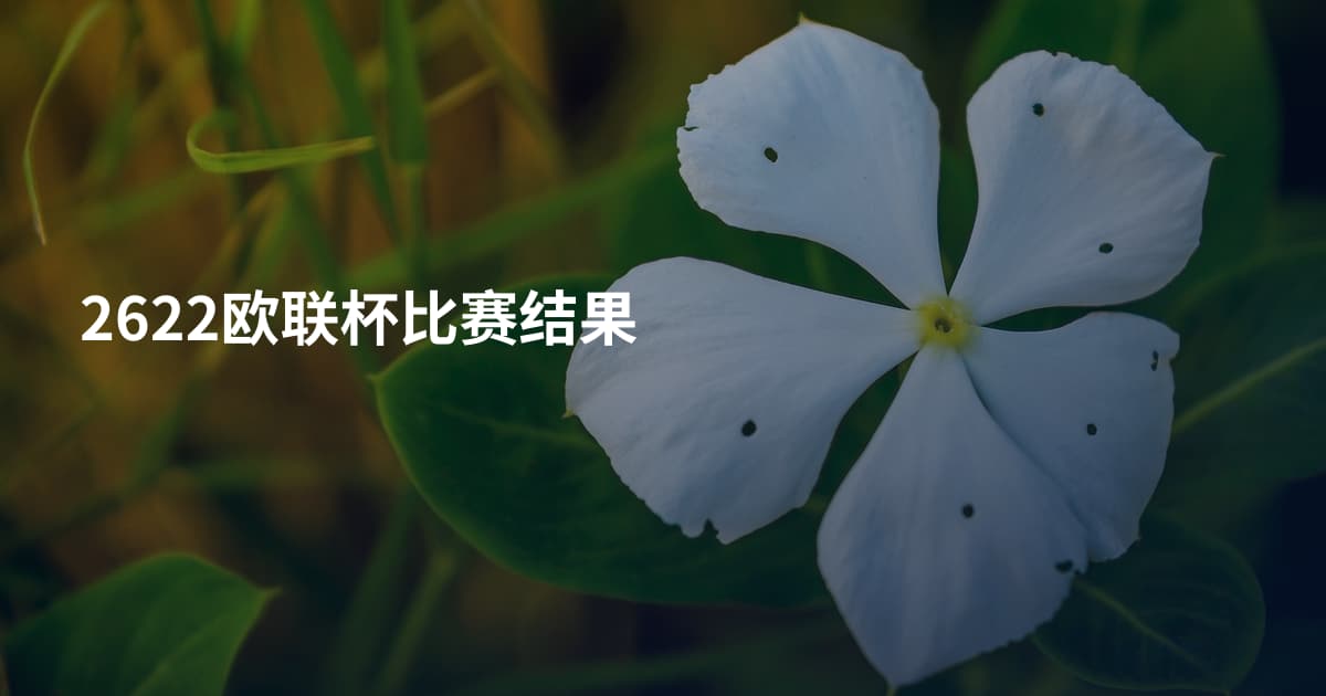 2622欧联杯比赛结果