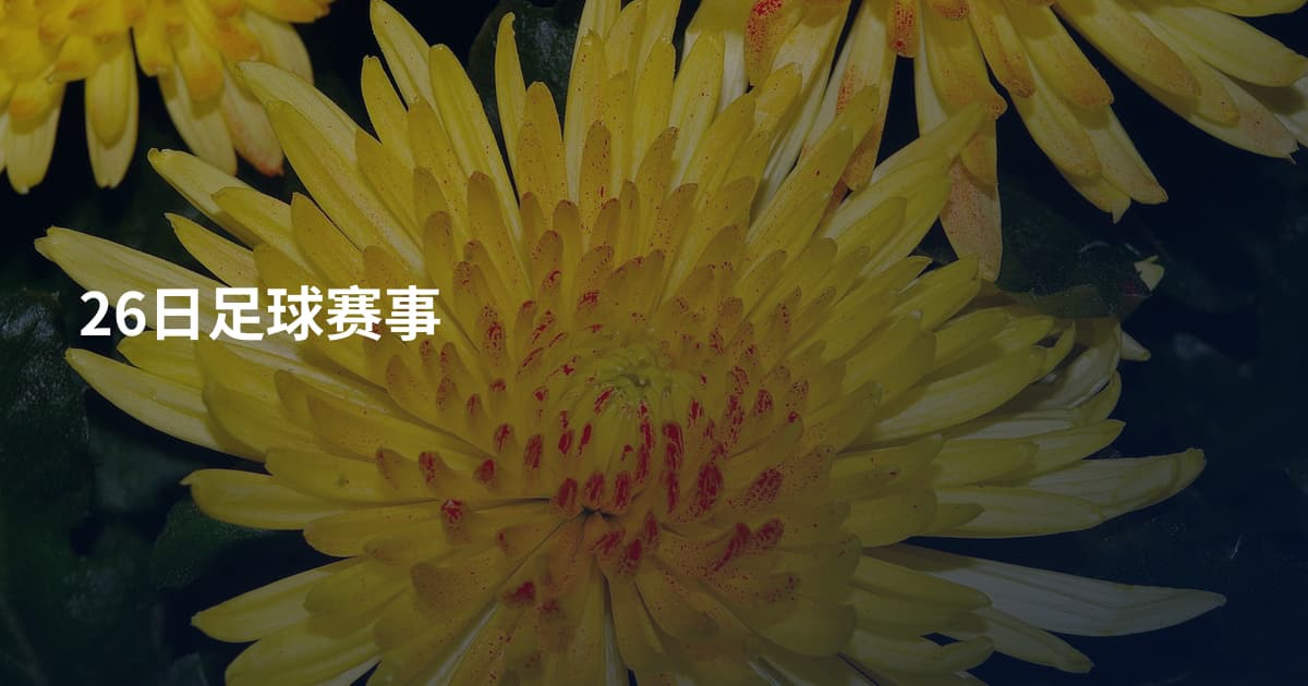 26日足球赛事
