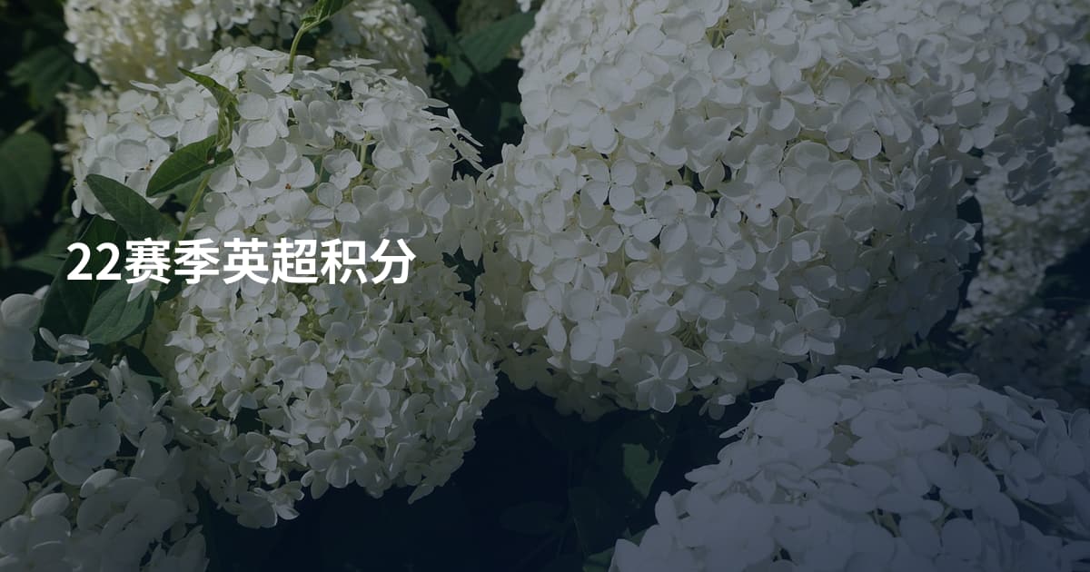 22赛季英超积分