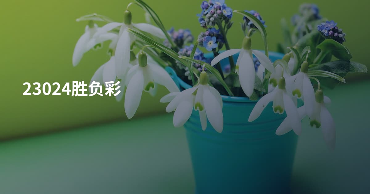 23024胜负彩