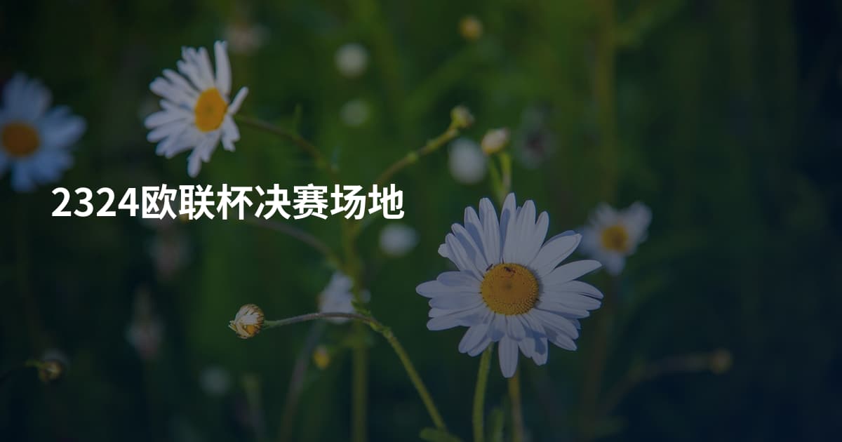 2324欧联杯决赛场地