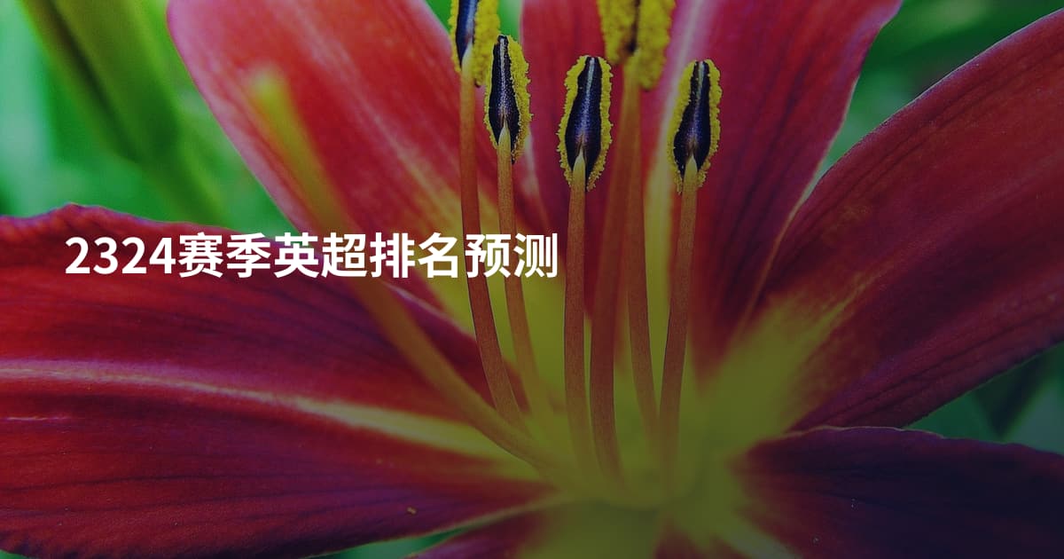 2324赛季英超排名预测