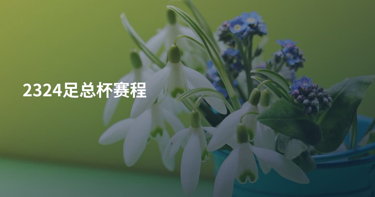 2324足总杯赛程