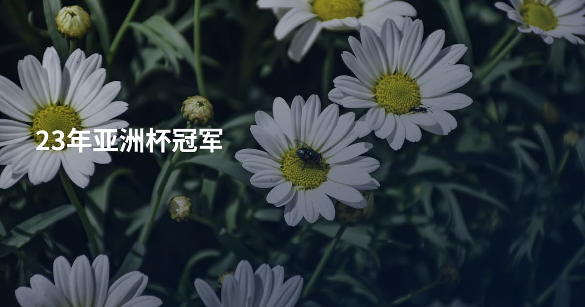 23年亚洲杯冠军