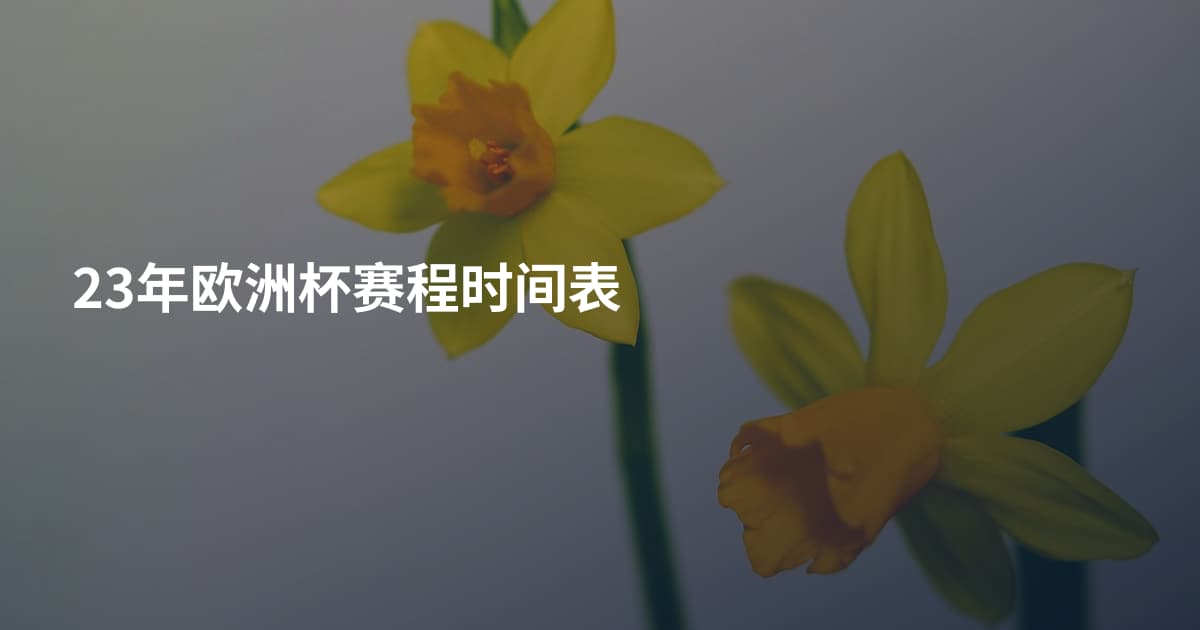23年欧洲杯赛程时间表