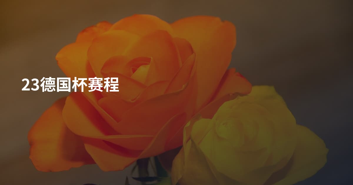 23德国杯赛程