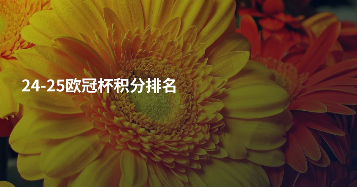 24-25欧冠杯积分排名