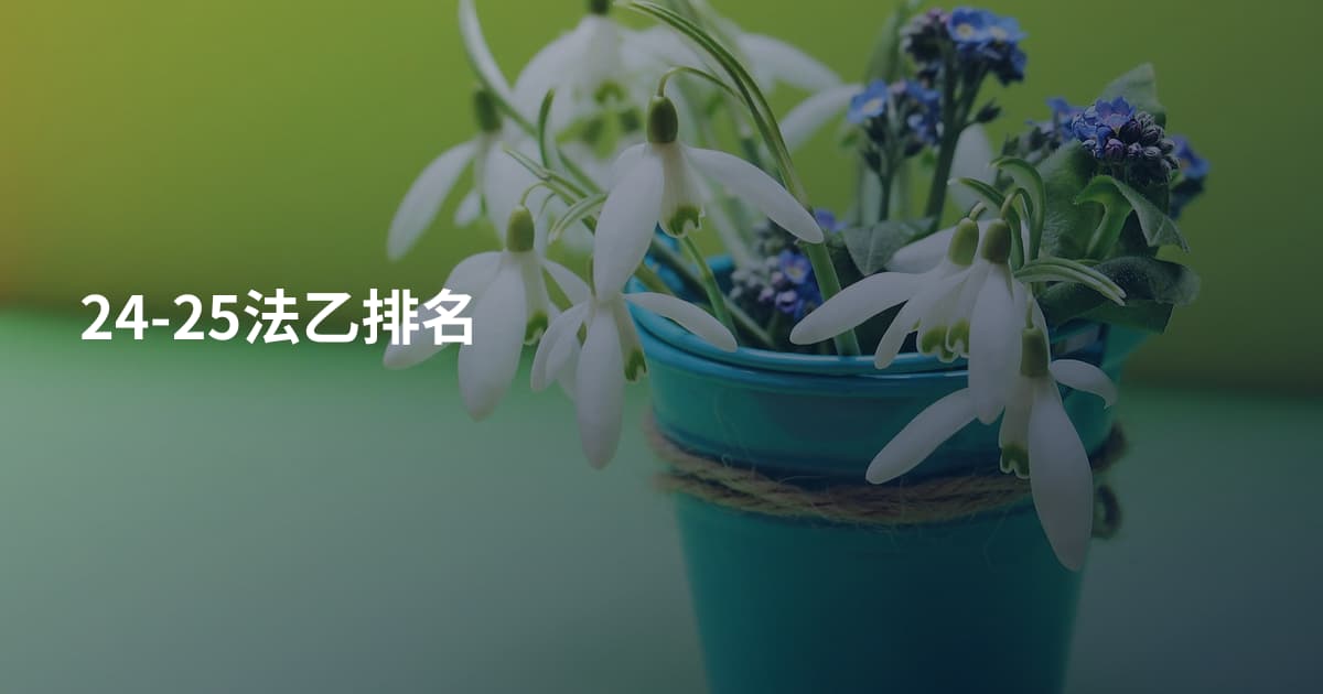 24-25法乙排名