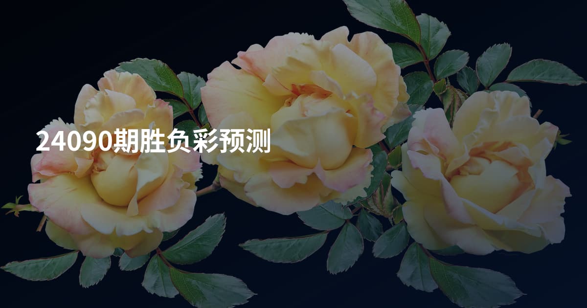 24090期胜负彩预测