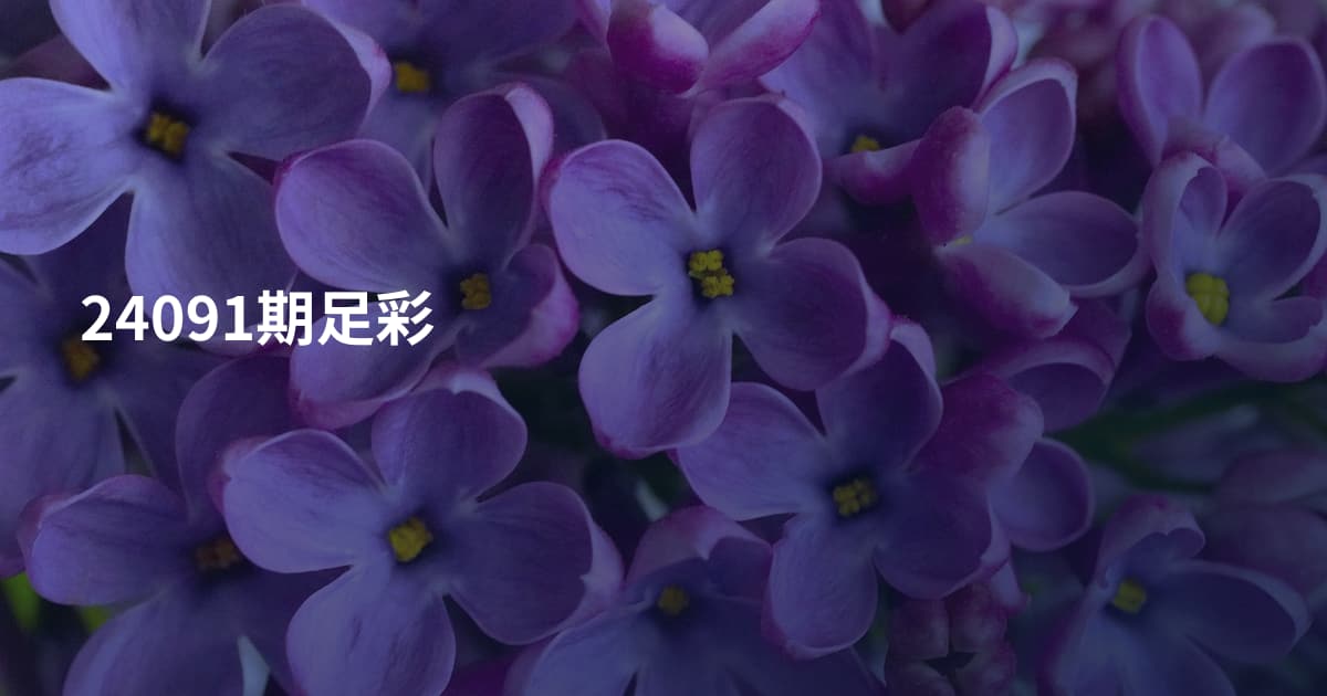 24091期足彩