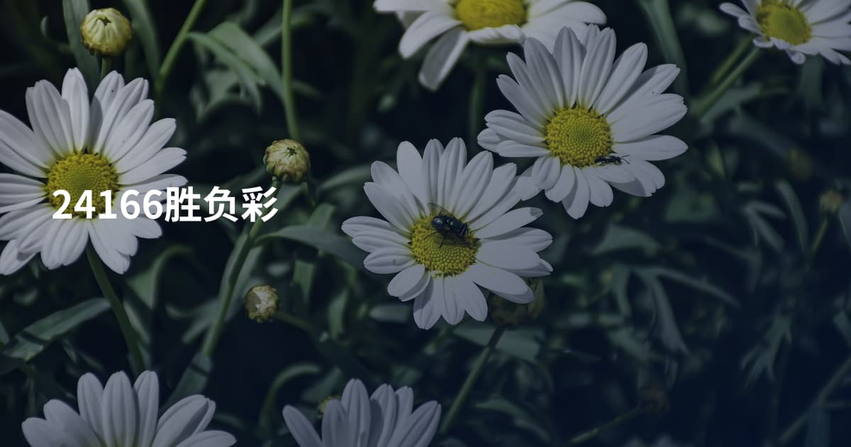 24166胜负彩