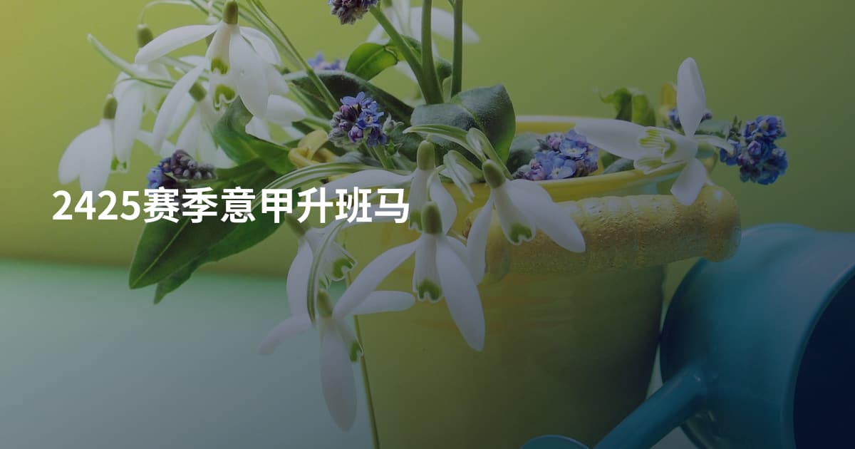 2425赛季意甲升班马