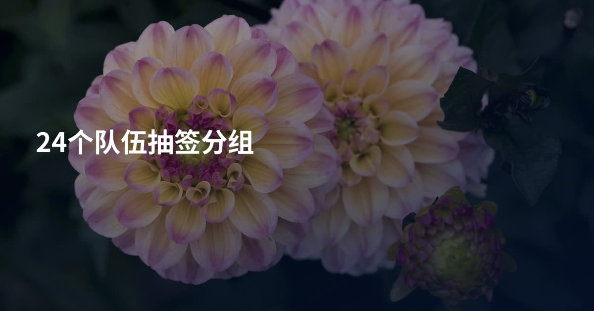 24个队伍抽签分组
