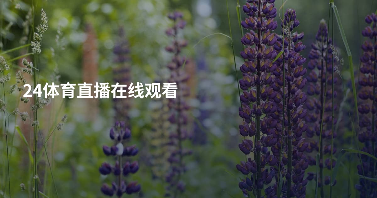 24体育直播在线观看