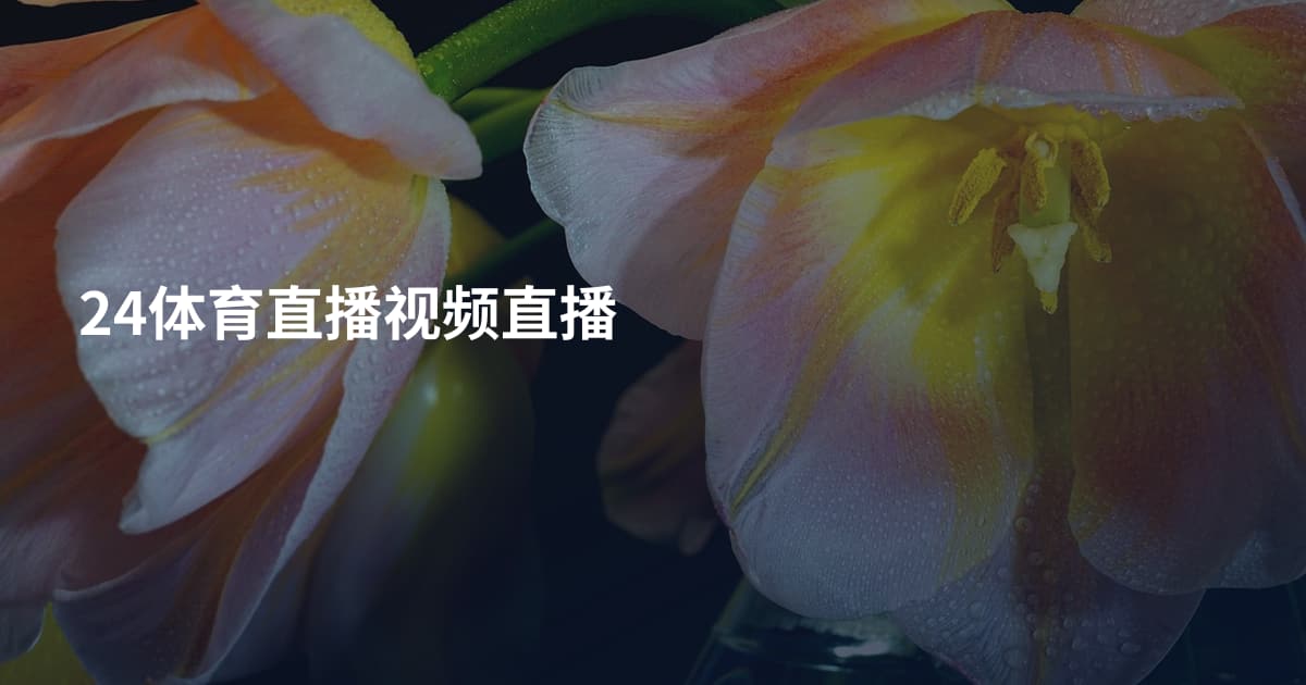 24体育直播视频直播