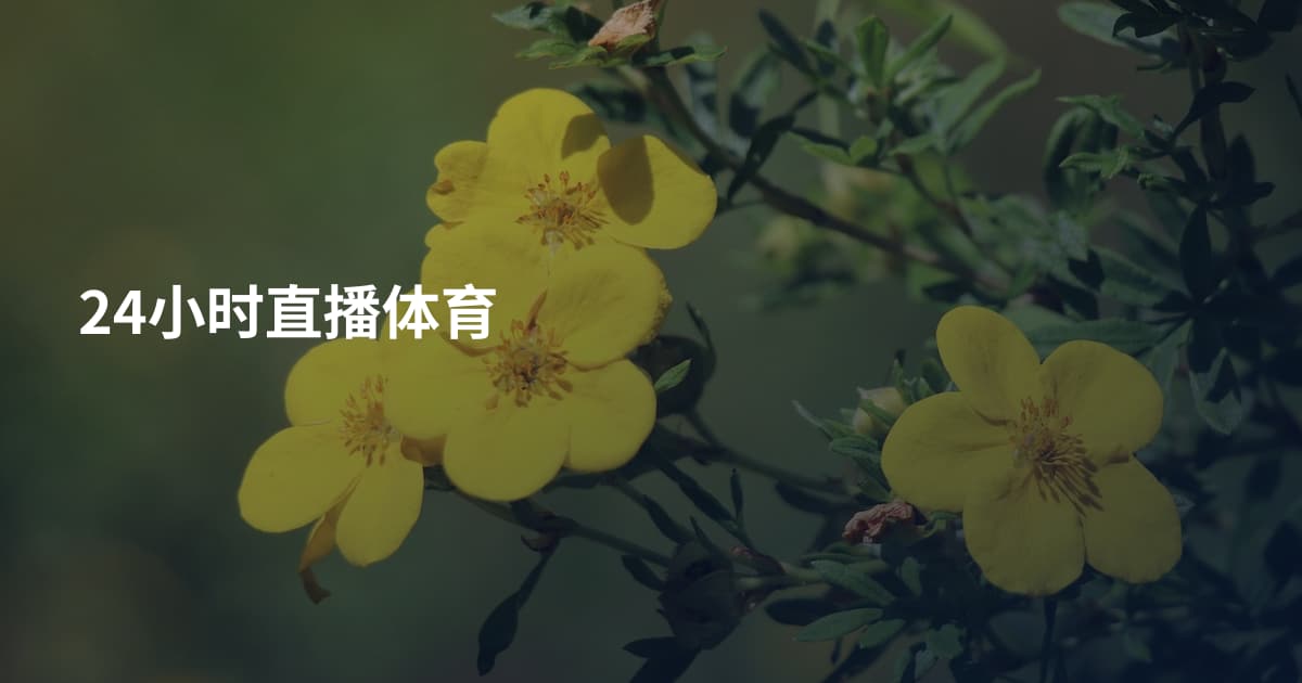 24小时直播体育