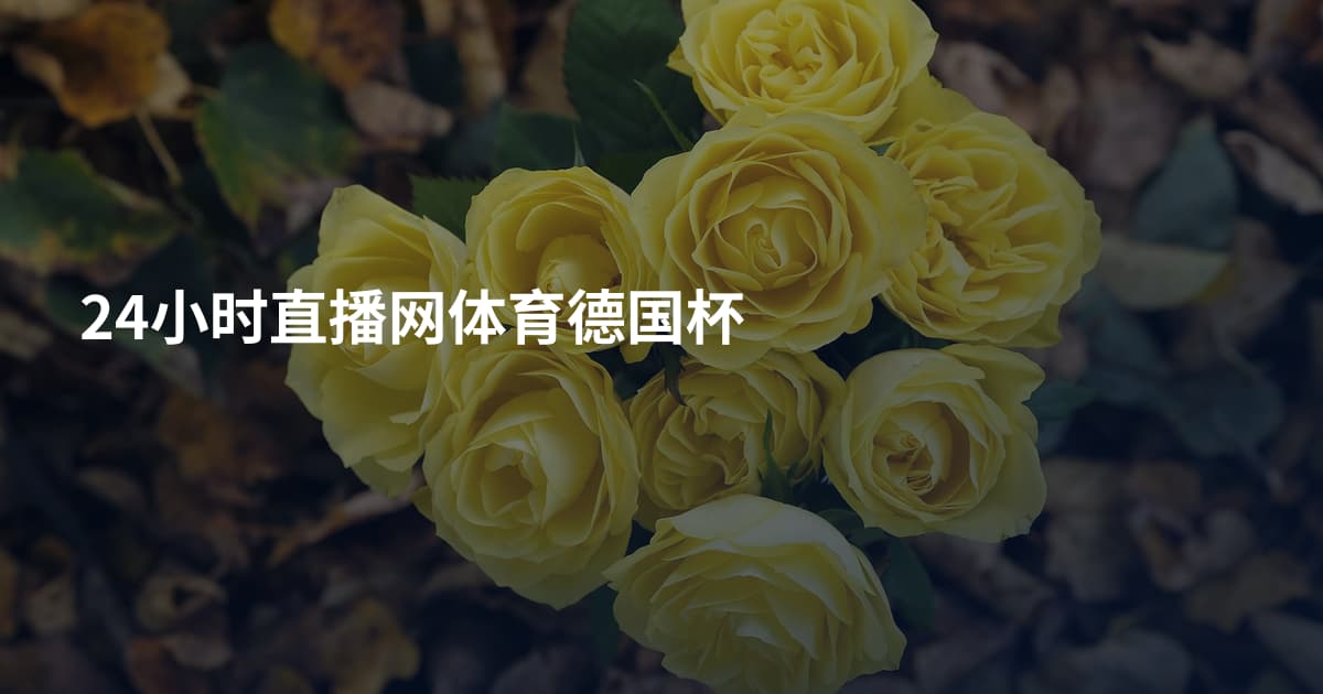 24小时直播网体育德国杯