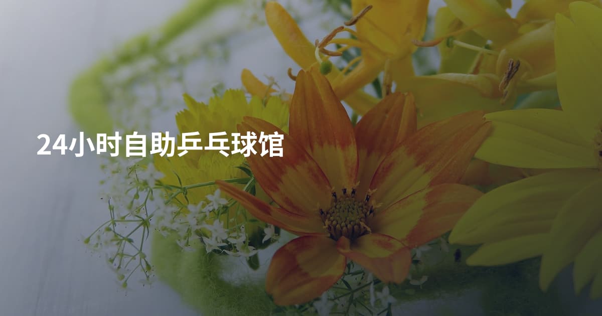 24小时自助乒乓球馆