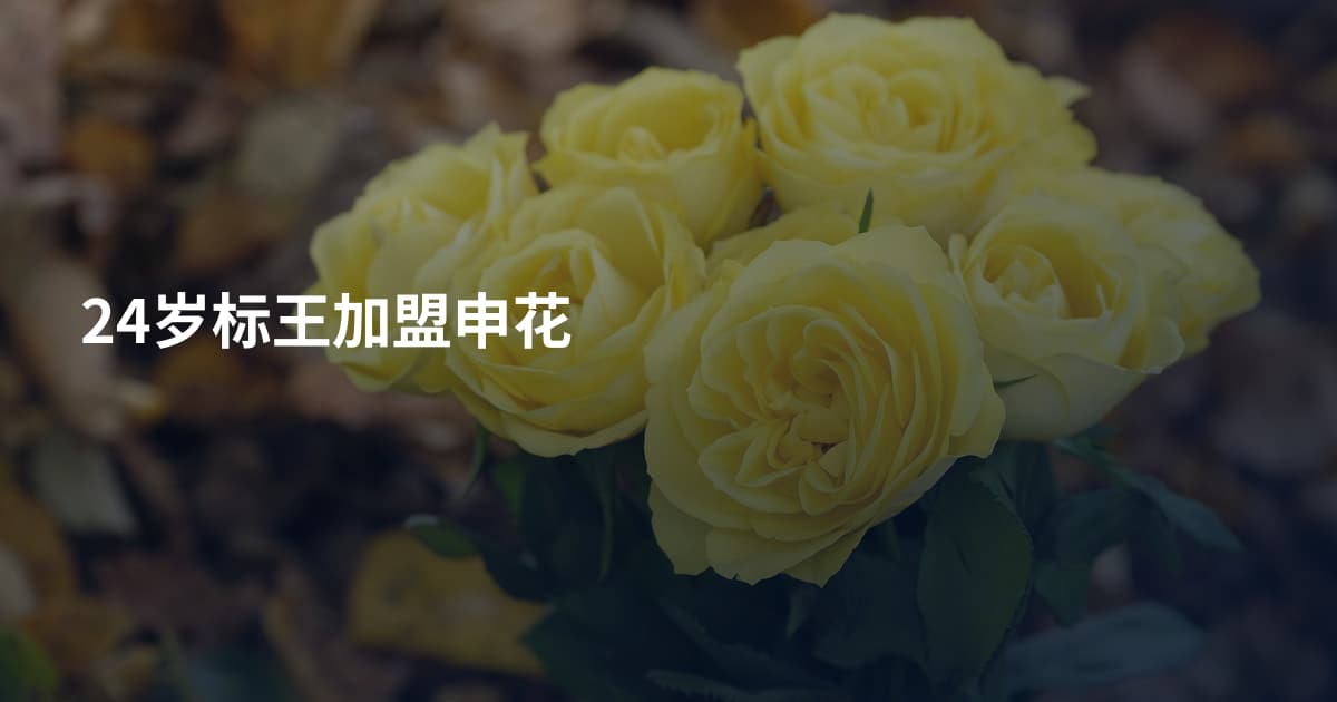 24岁标王加盟申花