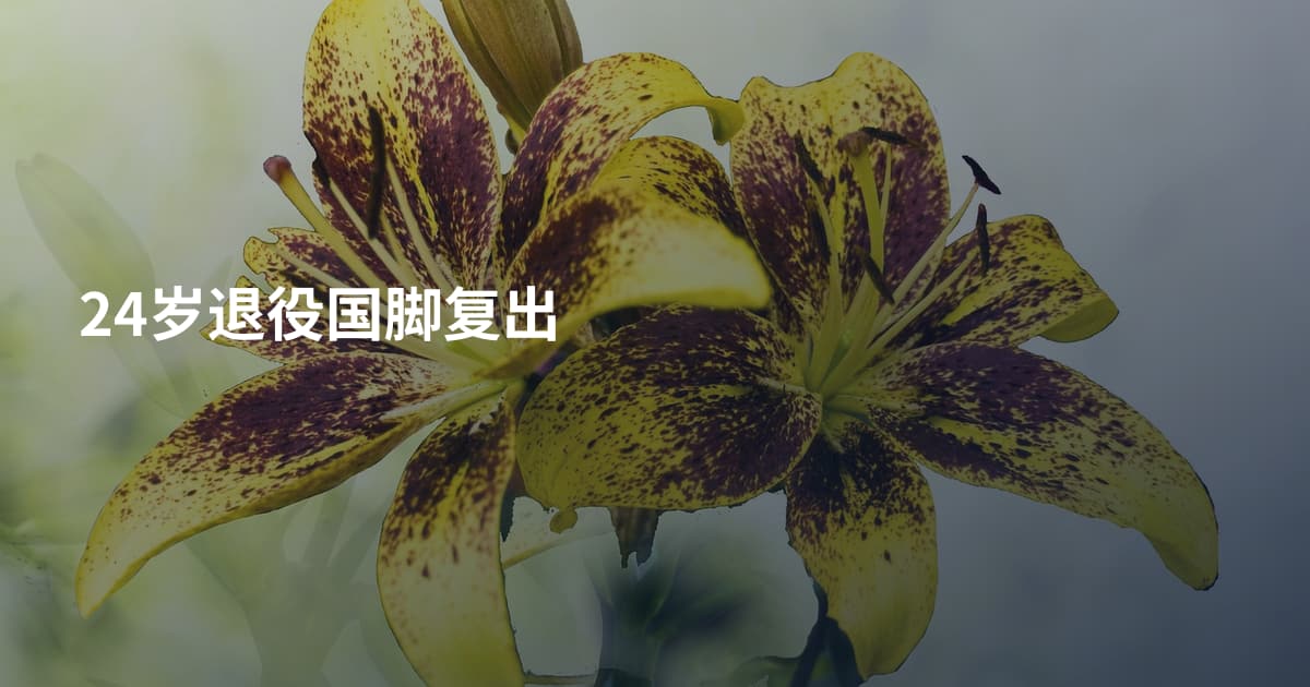 24岁退役国脚复出