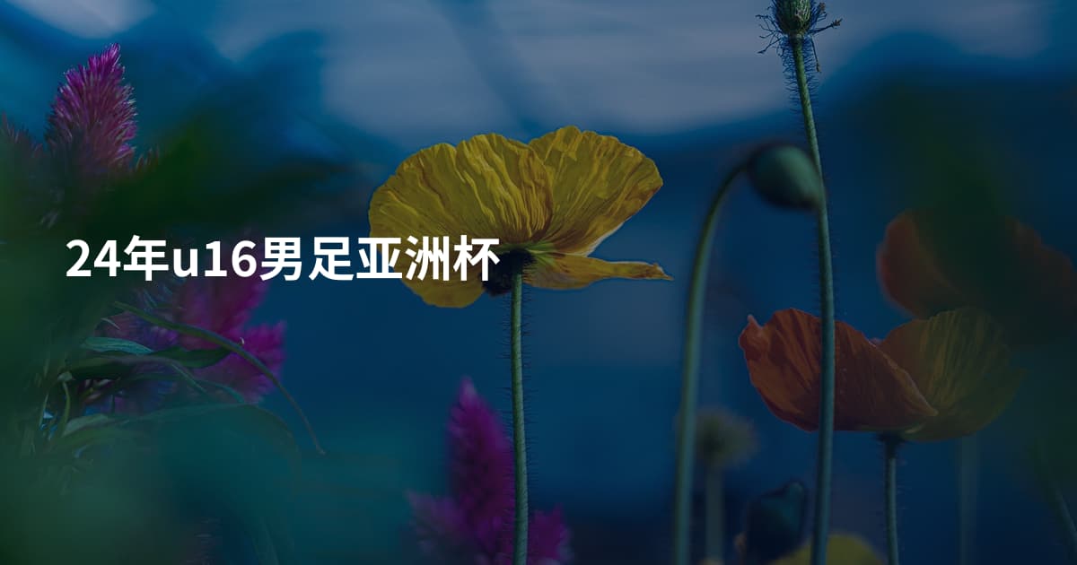 24年u16男足亚洲杯
