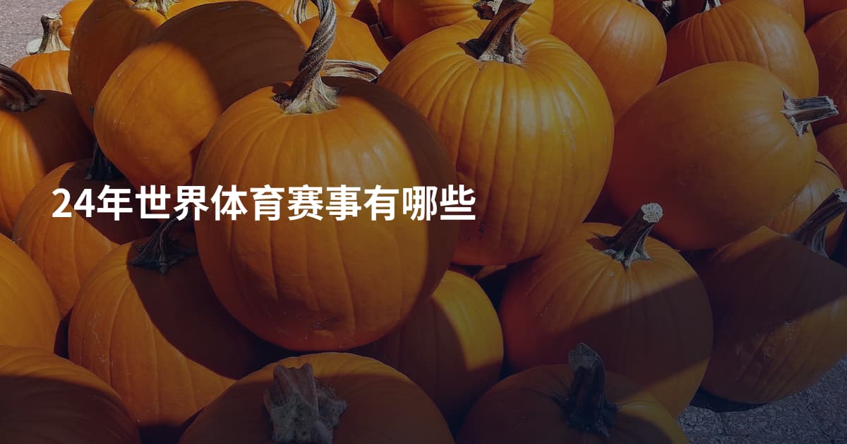 24年世界体育赛事有哪些