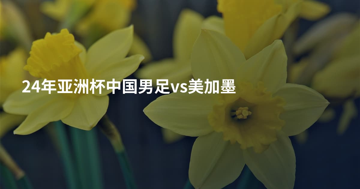 24年亚洲杯中国男足vs美加墨