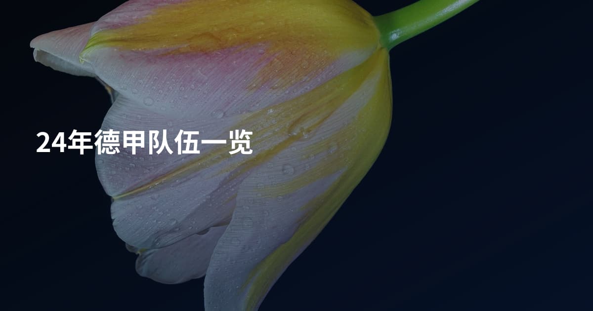 24年德甲队伍一览