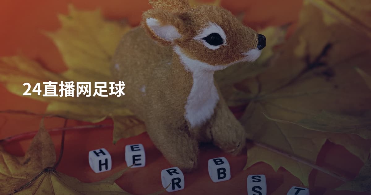 24直播网足球