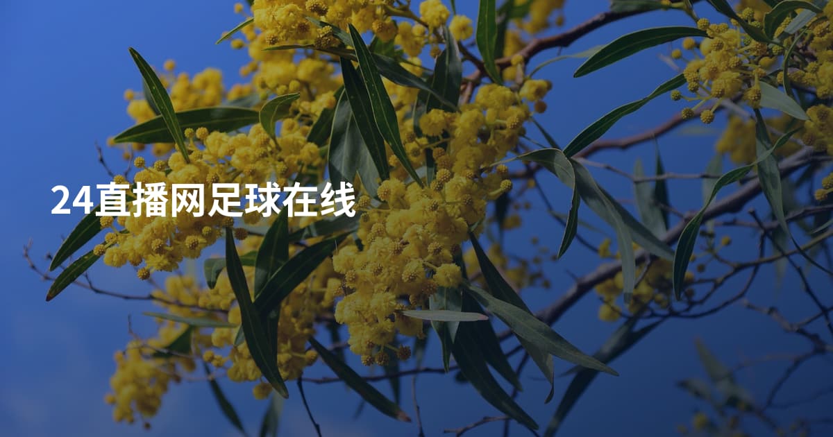 24直播网足球在线