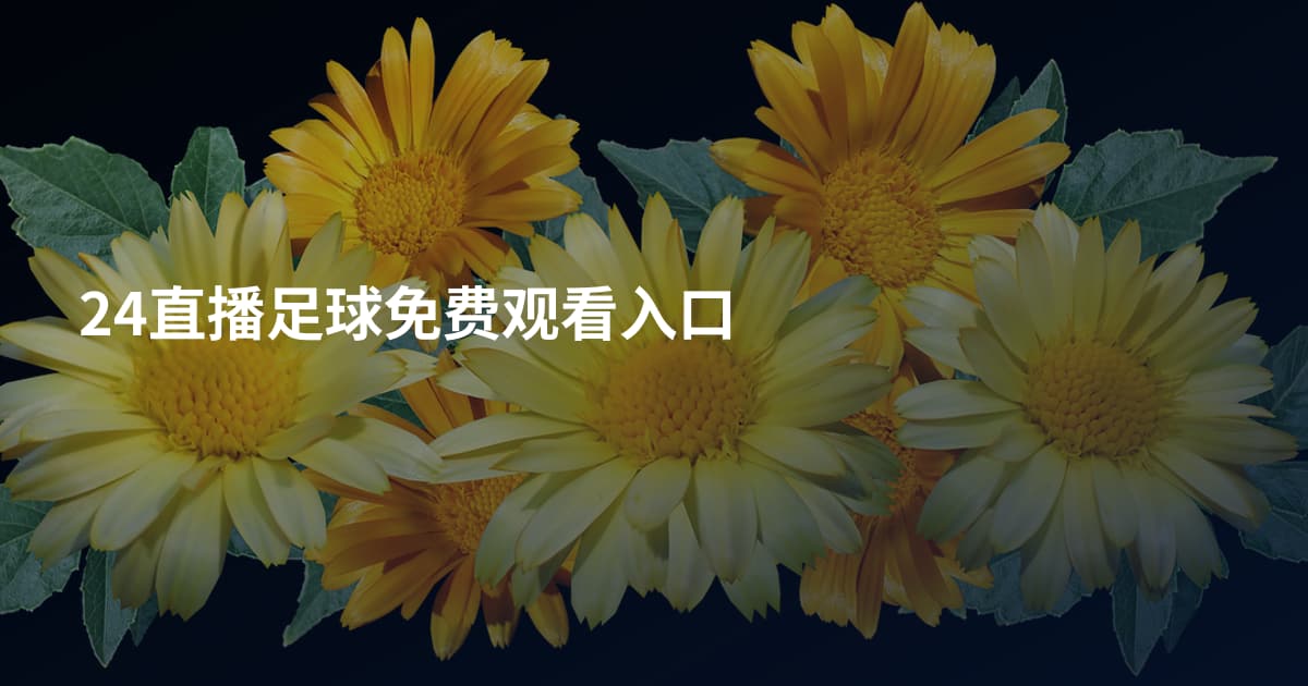 24直播足球免费观看入口