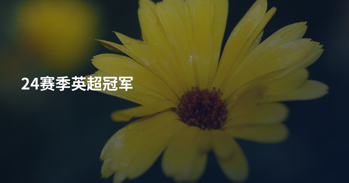 24赛季英超冠军