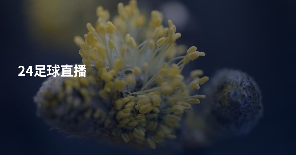 24足球直播