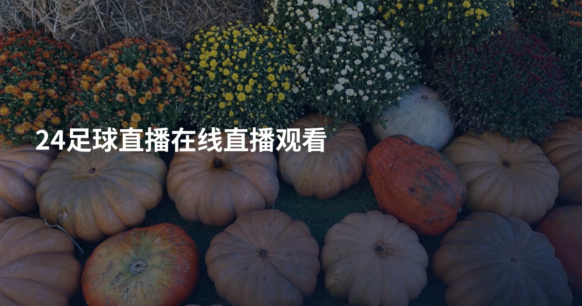 24足球直播在线直播观看