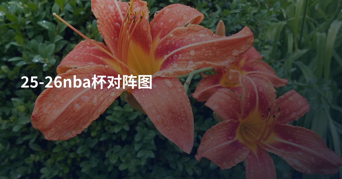 25-26nba杯对阵图