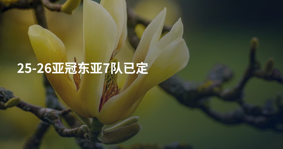 25-26亚冠东亚7队已定