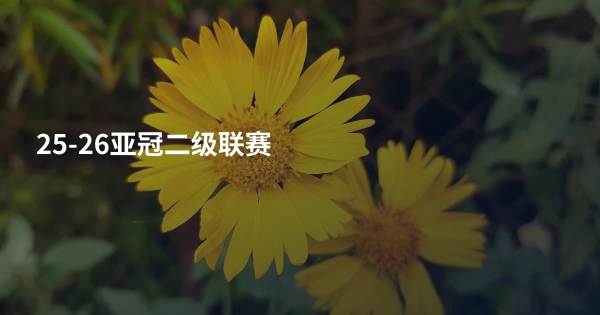 25-26亚冠二级联赛