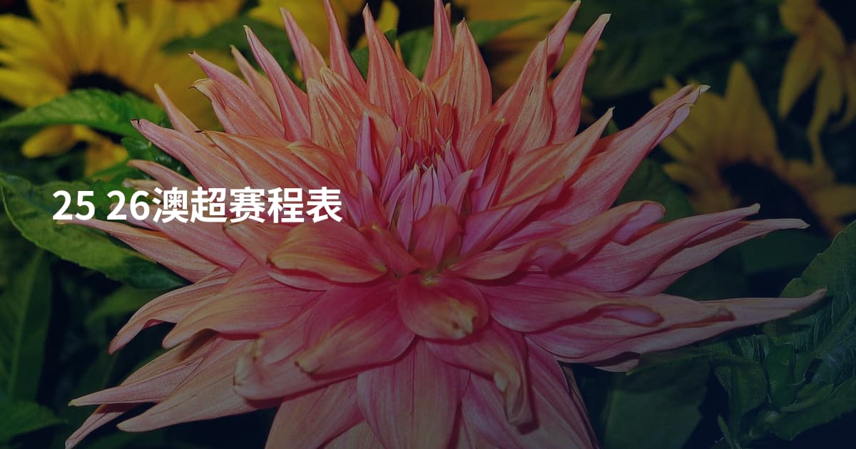 25 26澳超赛程表