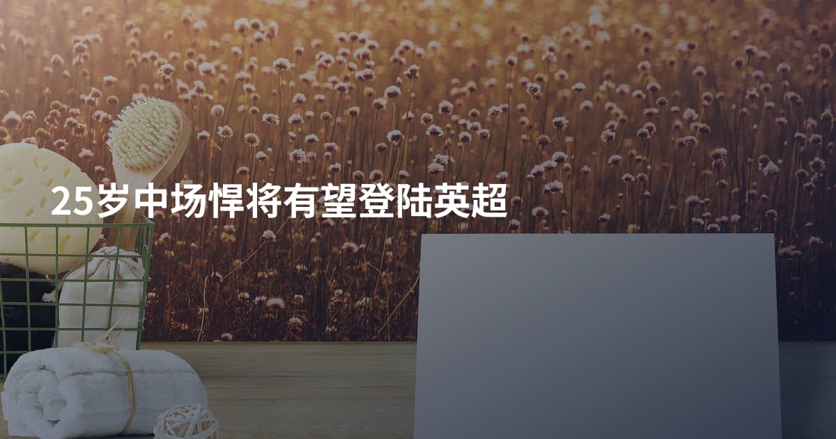 25岁中场悍将有望登陆英超
