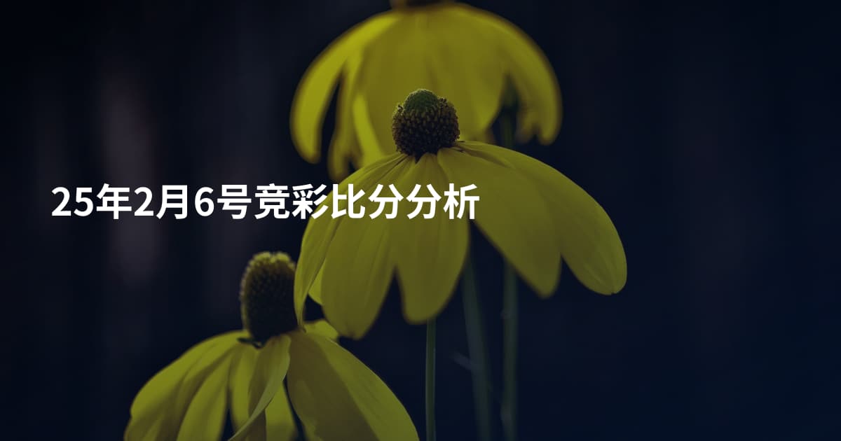 25年2月6号竞彩比分分析